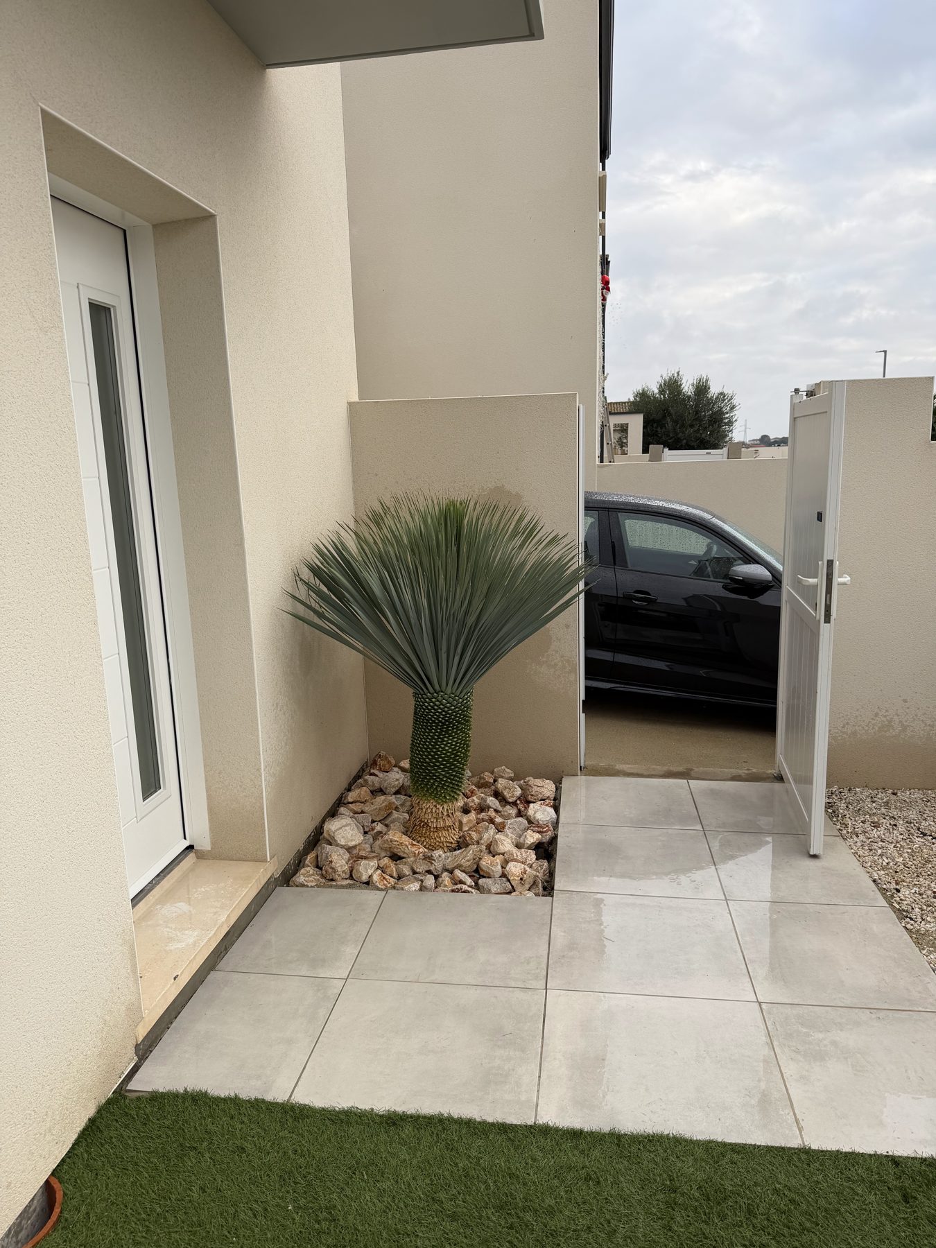 Plantation ornementale contre une façade